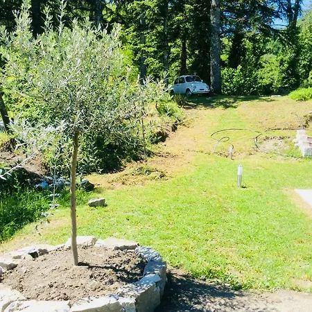 Country house Le Apuane Holidays