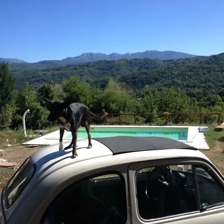 Le Apuane Holidays Country house *