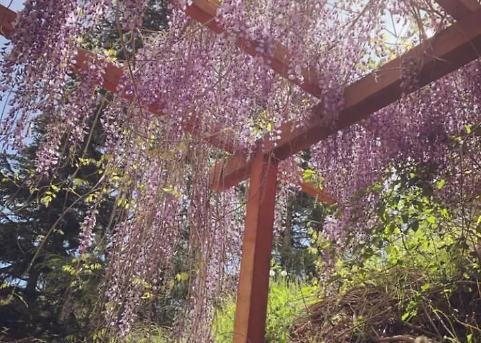 בית כפרי Le Apuane Holidays